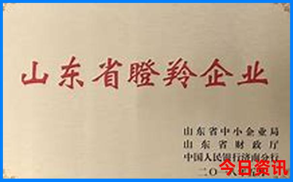 重庆有哪些著名的景点